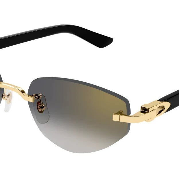CARTIER CT0580S -CARTIER Sunglasses- Optivision