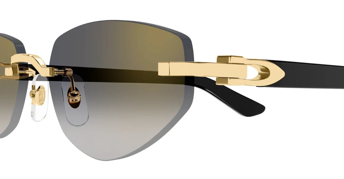 CARTIER CT0580S -CARTIER Sunglasses- Optivision