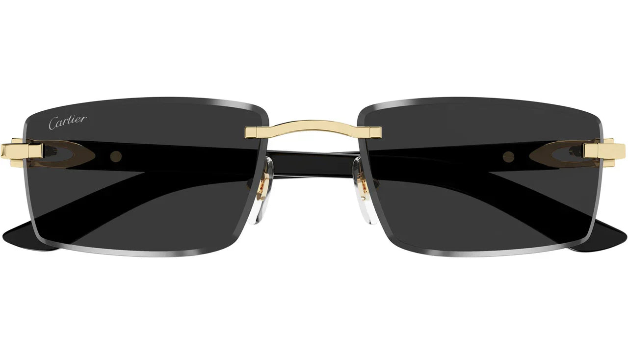 CARTIER CT0582S -CARTIER Sunglasses- Optivision