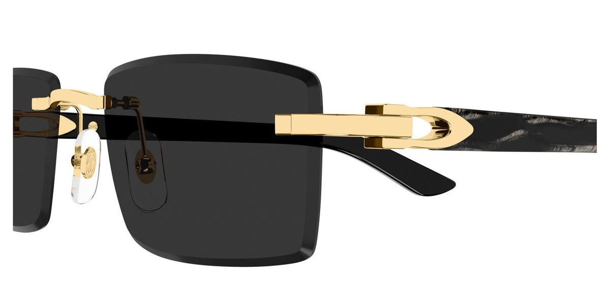 CARTIER CT0582S -CARTIER Sunglasses- Optivision