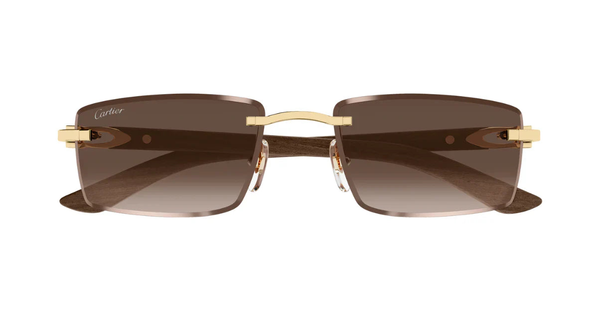 CARTIER CT0582S -CARTIER Sunglasses- Optivision