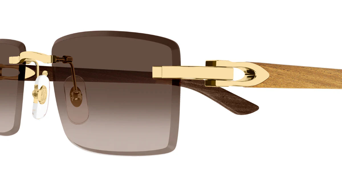 CARTIER CT0582S -CARTIER Sunglasses- Optivision