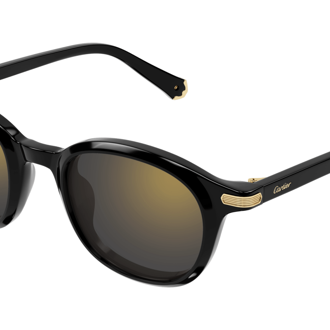 Cartier CT0584S Square Sunglasses -CARTIER Sunglasses- Optivision