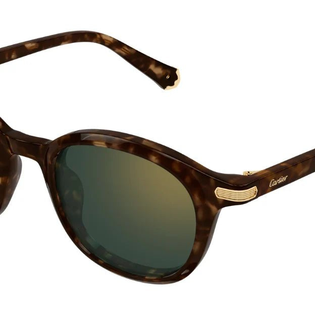 Cartier CT0584S Square Sunglasses -CARTIER Sunglasses- Optivision