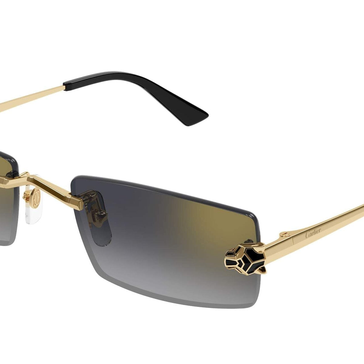 Cartier CT0598S Rectangle Sunglasses