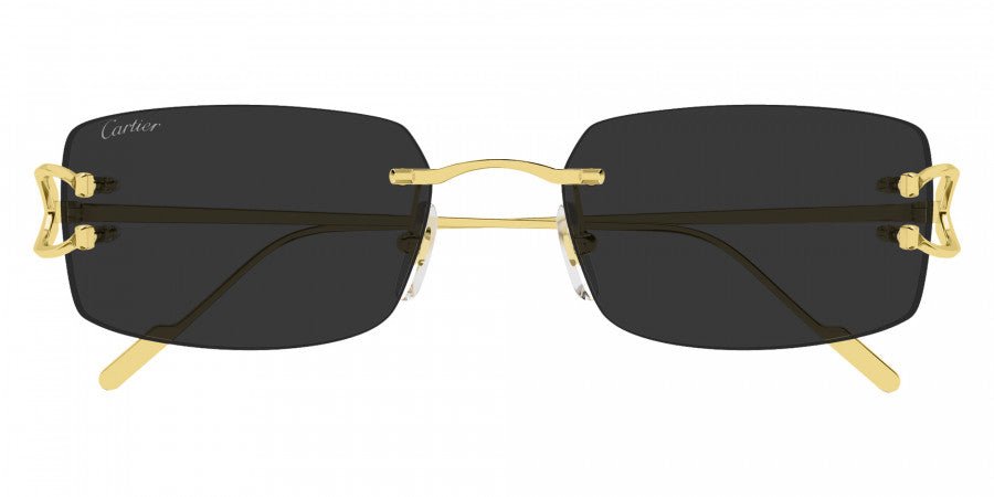 CARTIER CT0605S Signature C de Cartier -CARTIER Sunglasses- Optivision