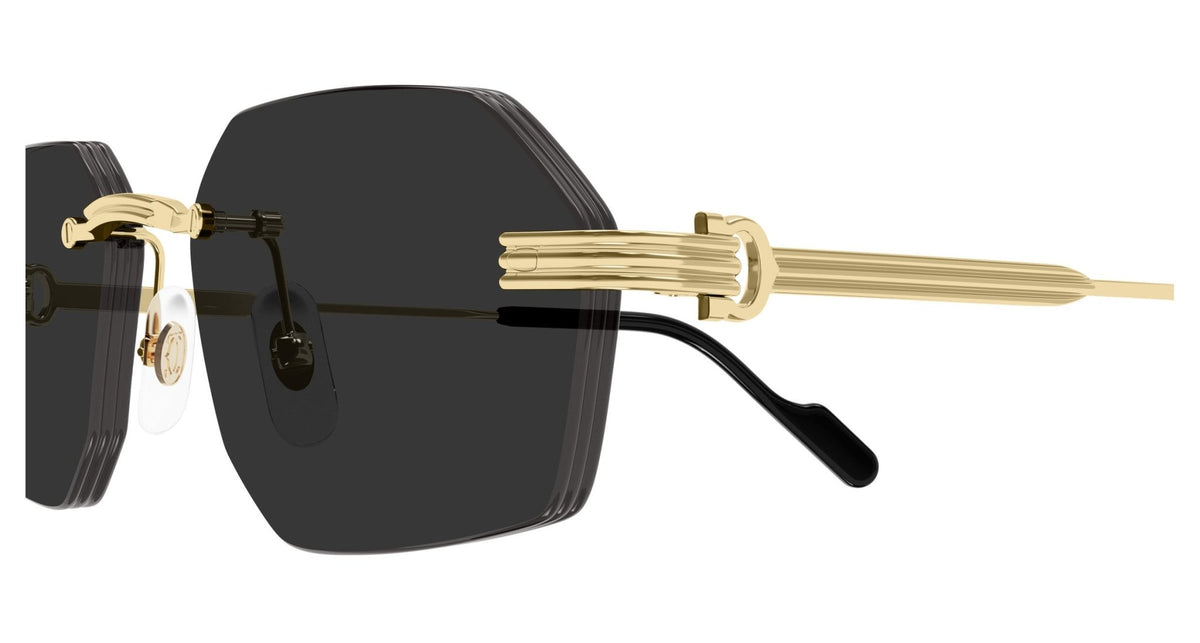 CARTIER CT0616S -CARTIER Sunglasses- Optivision