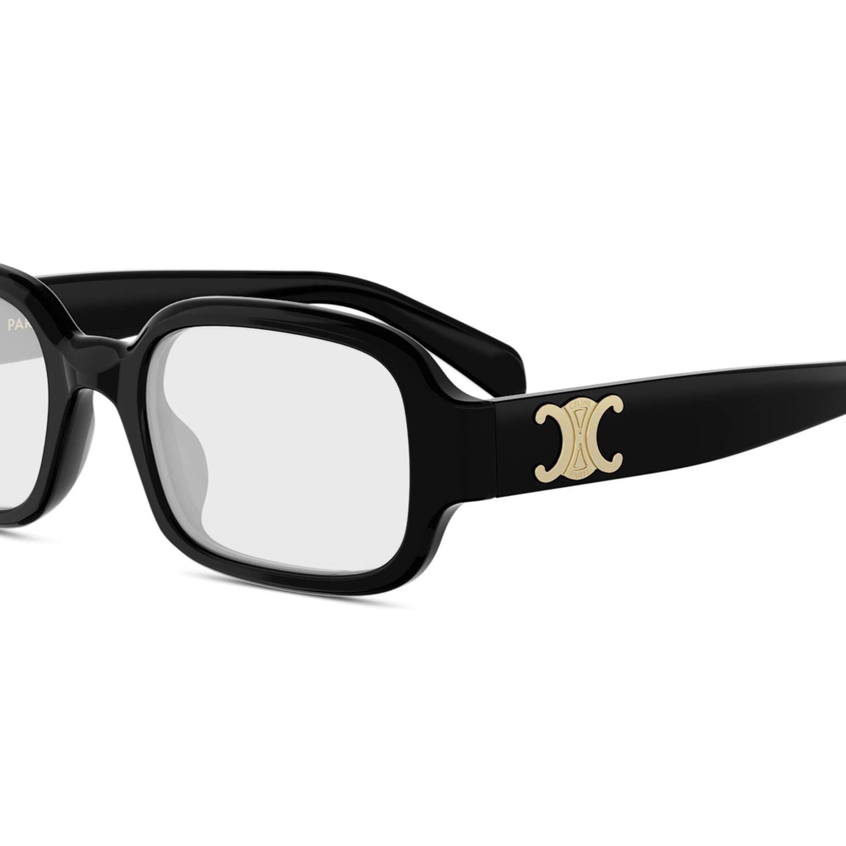 CELINE CL50173I