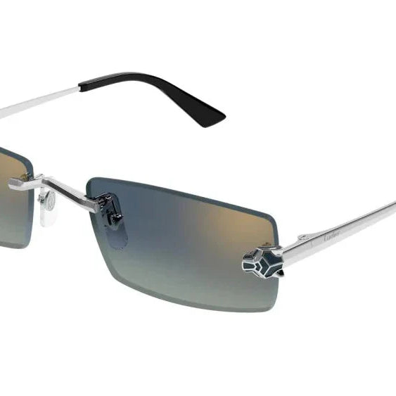 CARTIER CT0598S