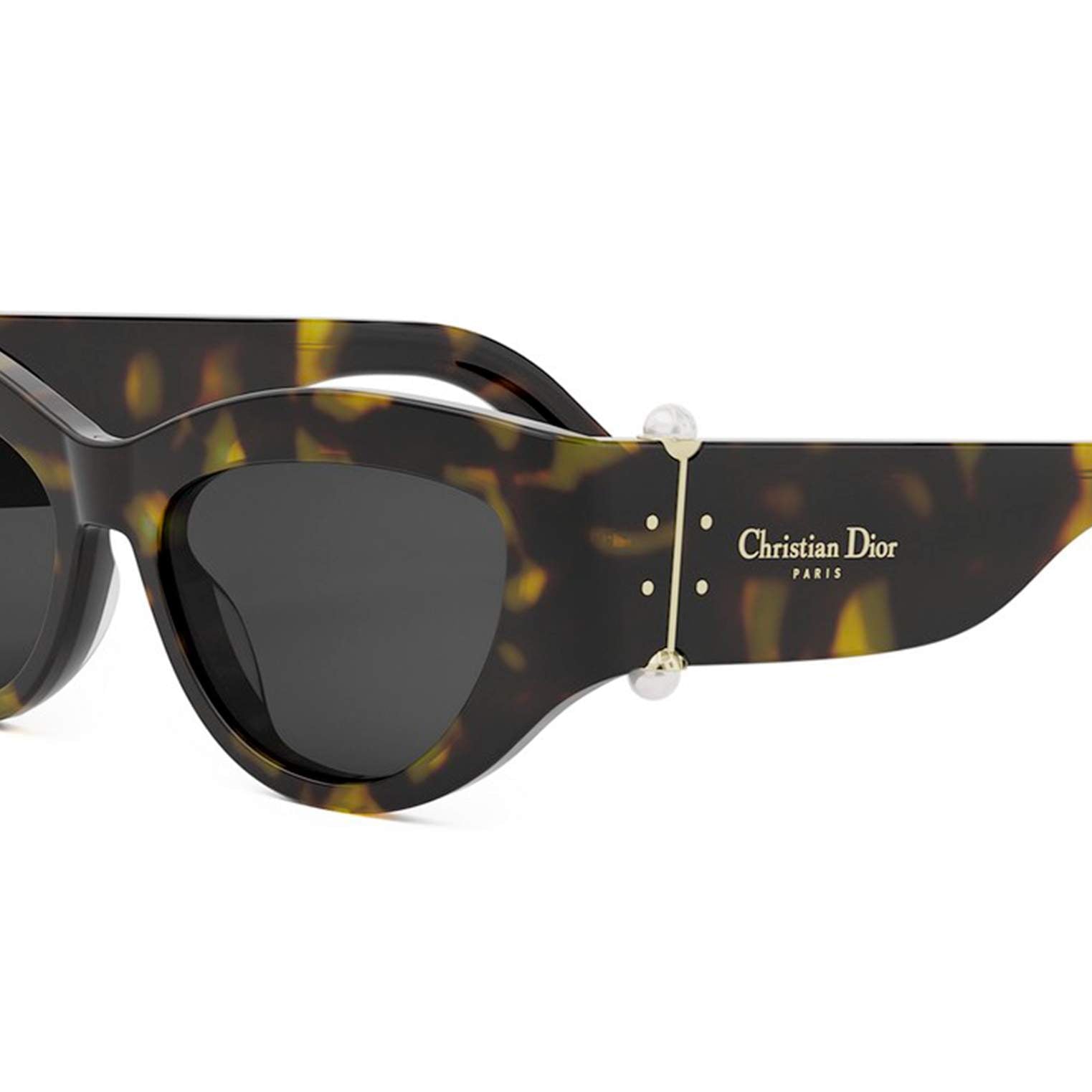 DIOR DIORTRIBALES B1I