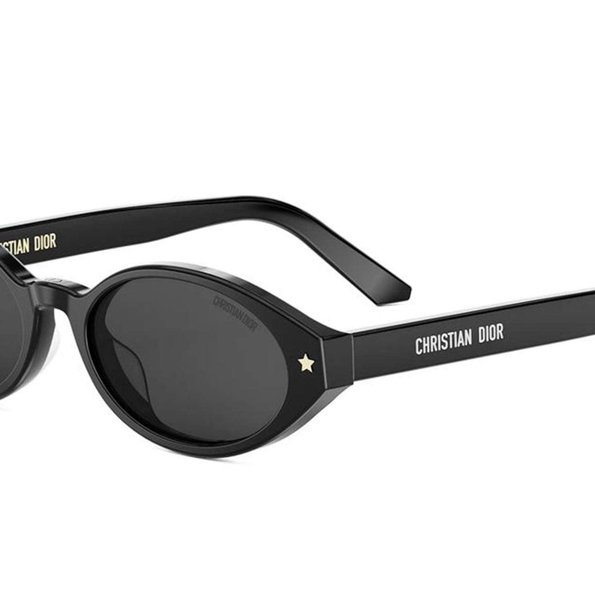 Dior DIORPACIFIC R1I Oval Sunglasses