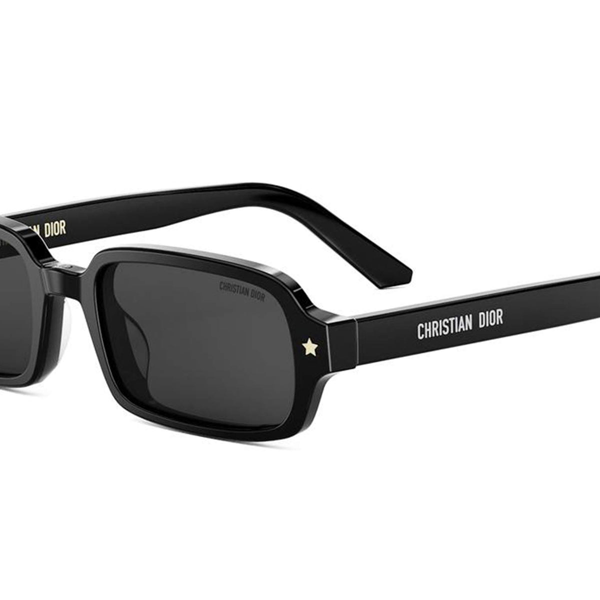 Dior DIORPACIFIC S3I Rectangle Sunglasses