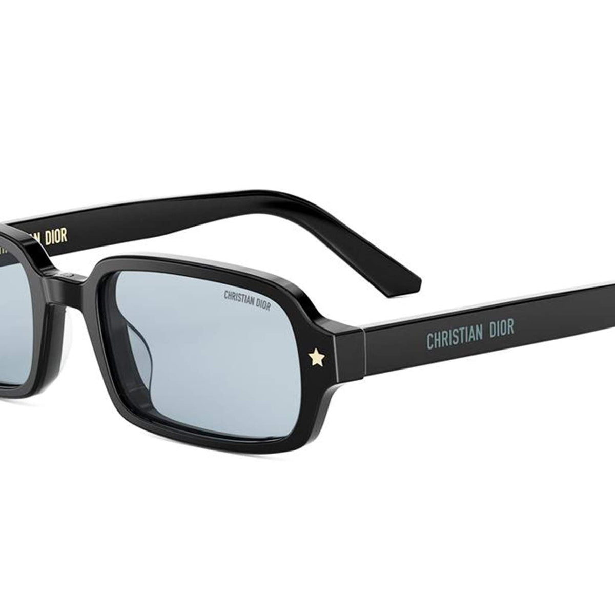 Dior DIORPACIFIC S3I Rectangle Sunglasses