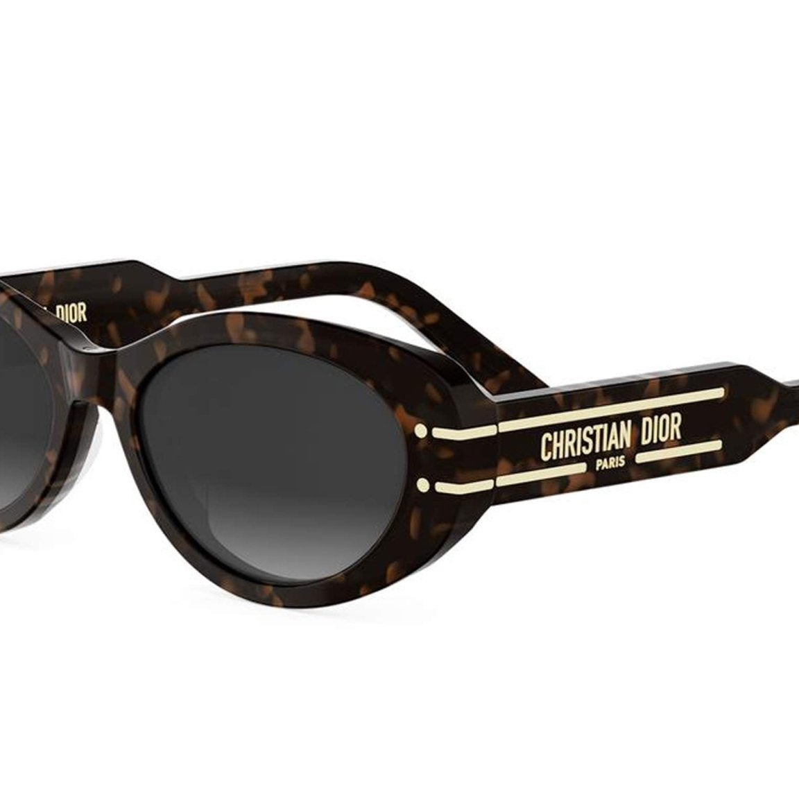 DIOR DIORSIGNATURE B8U -DIOR Sunglasses- Optivision