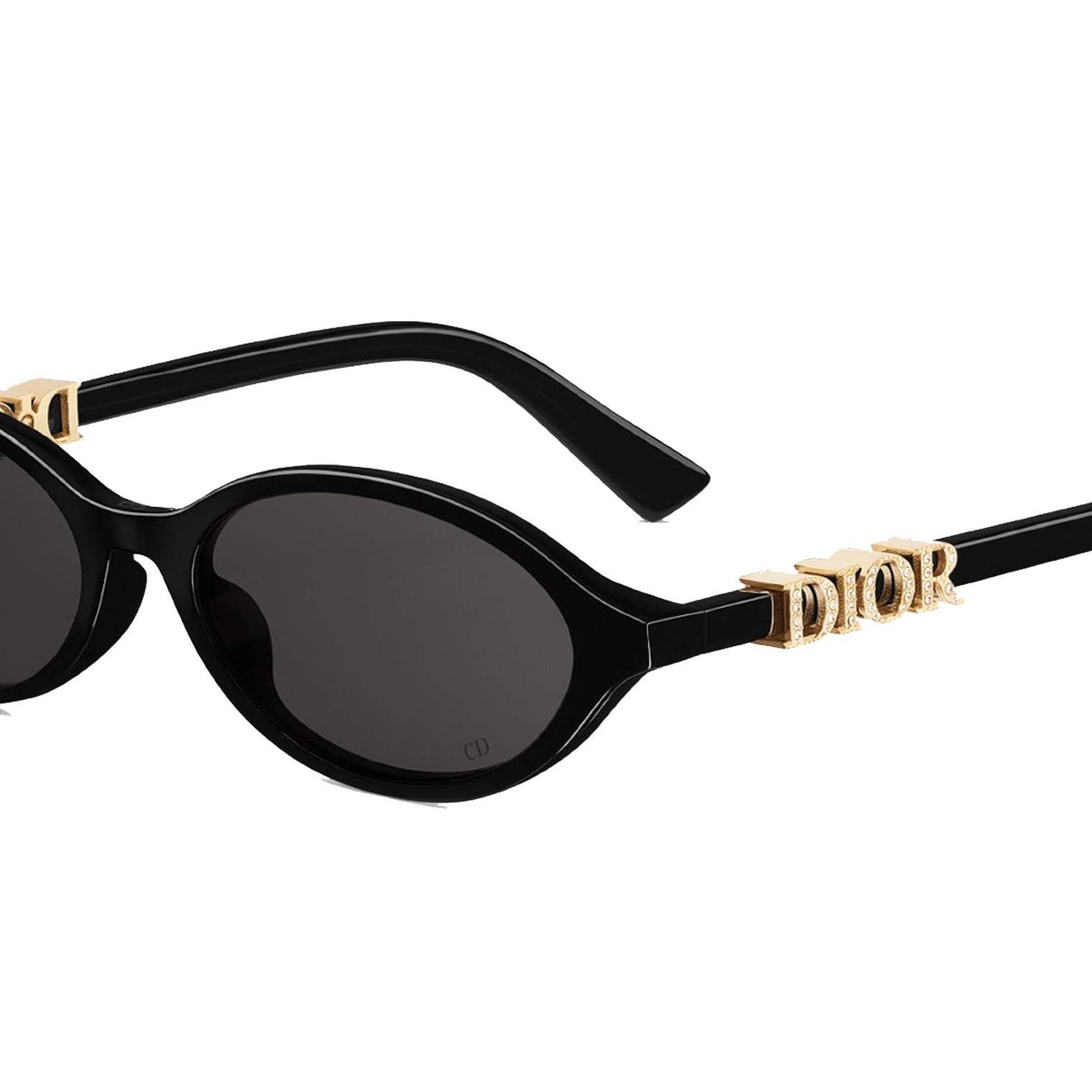 Dior DIORTREASURE R1I Oval Sunglasses