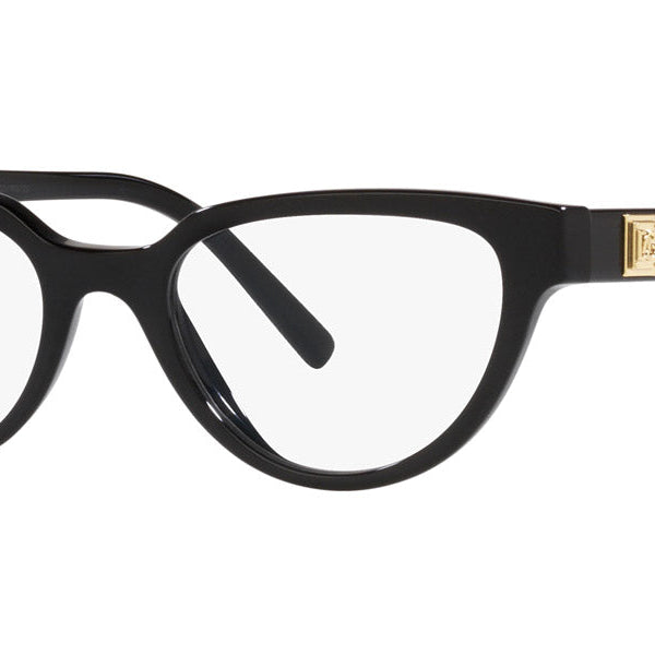 DOLCE & GABBANA DG3358
