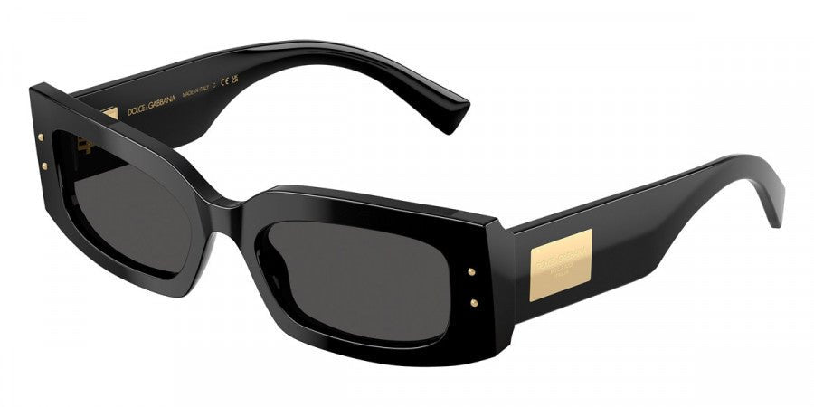 DOLCE & GABBANA DG4479 DNA -DOLCE & GABBANA Sunglasses- Optivision