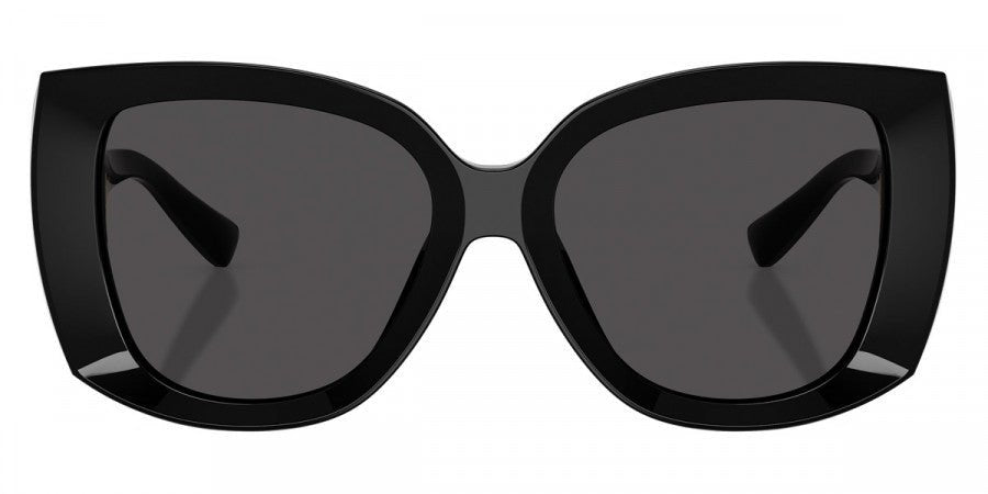DOLCE & GABBANA DG4495 DNA -DOLCE & GABBANA Sunglasses- Optivision