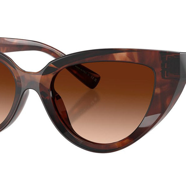 DOLCE & GABBANA DG4497 DNA -DOLCE & GABBANA Sunglasses- Optivision