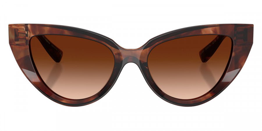 DOLCE & GABBANA DG4497 DNA -DOLCE & GABBANA Sunglasses- Optivision