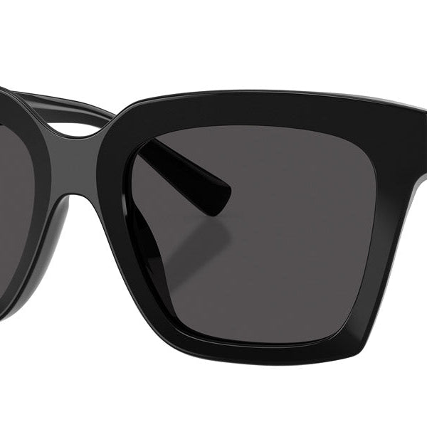 DOLCE & GABBANA DG4498