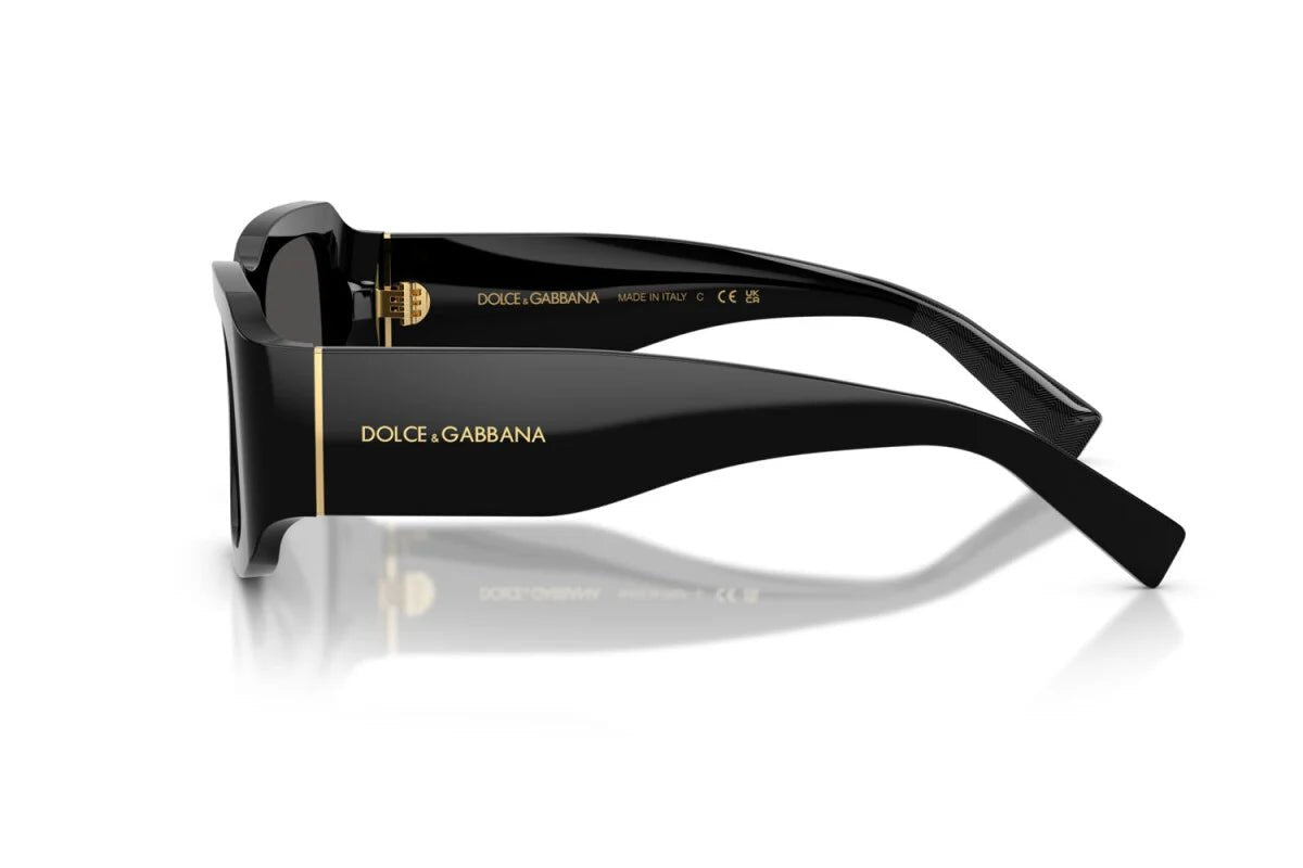 DOLCE & GABBANA DG4503 DNA -DOLCE & GABBANA Sunglasses- Optivision