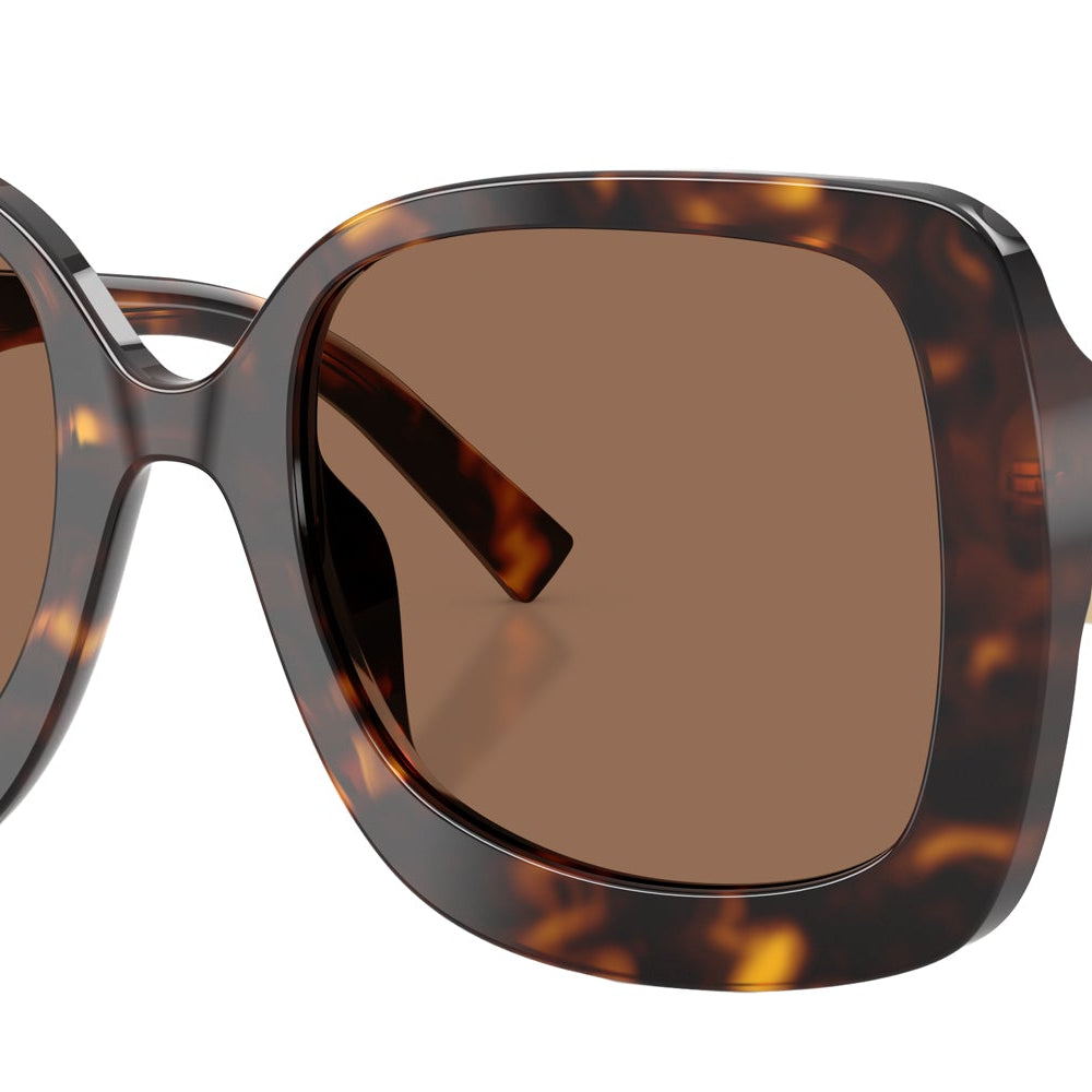 DOLCE & GABBANA DG4513