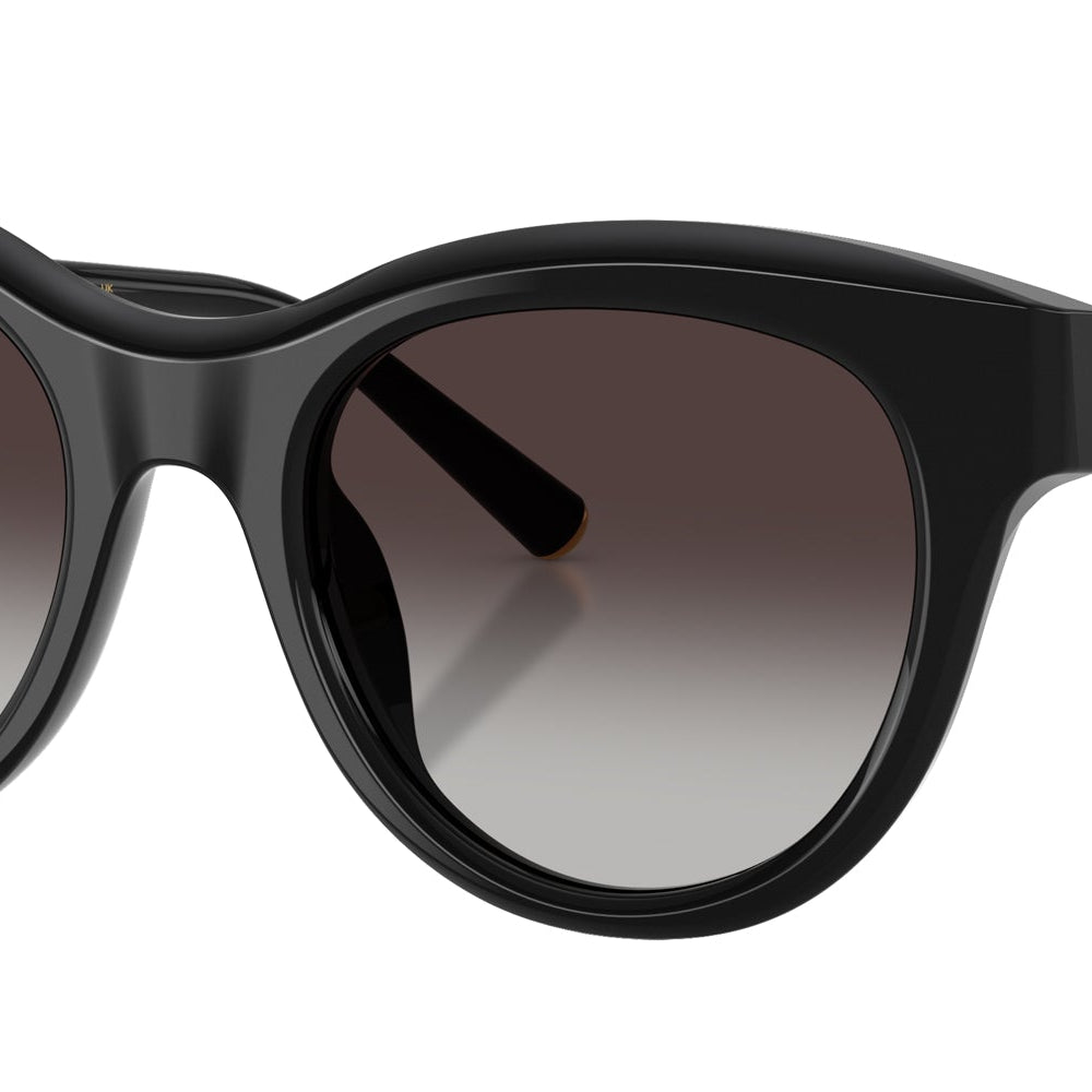 DOLCE & GABBANA DG4518 DNA -DOLCE & GABBANA Sunglasses- Optivision