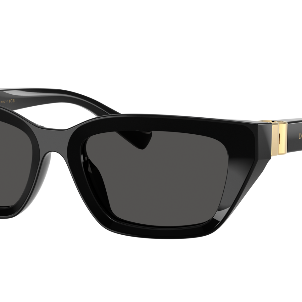 Dolce & Gabbana DG4532 Cat Eye Sunglasses