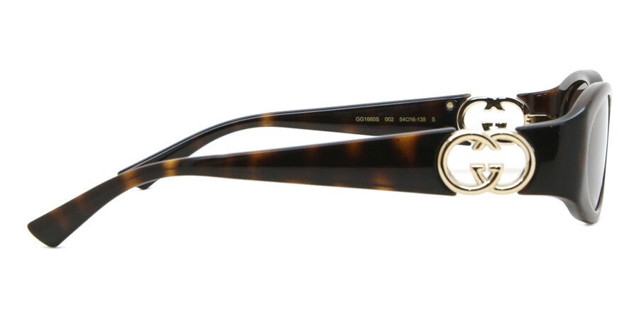GUCCI GG1660S Logo -GUCCI Sunglasses- Optivision