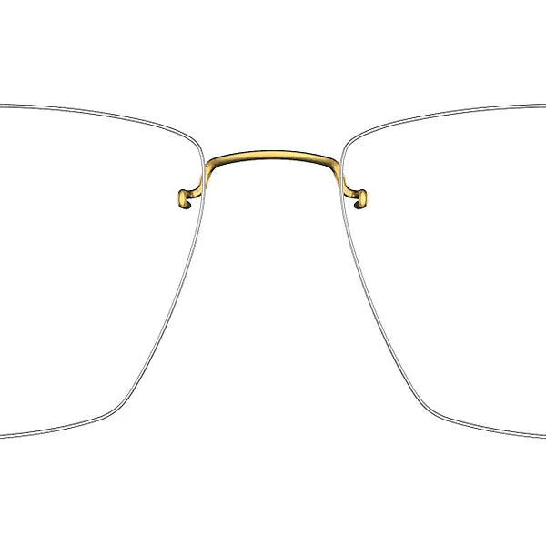 LINDBERG 2498