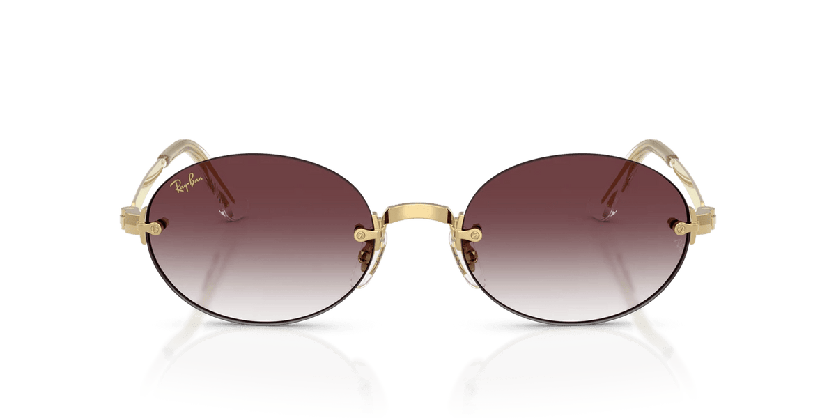 RAYBAN RB3929 A$AP Rocky -RAYBAN Sunglasses- Optivision
