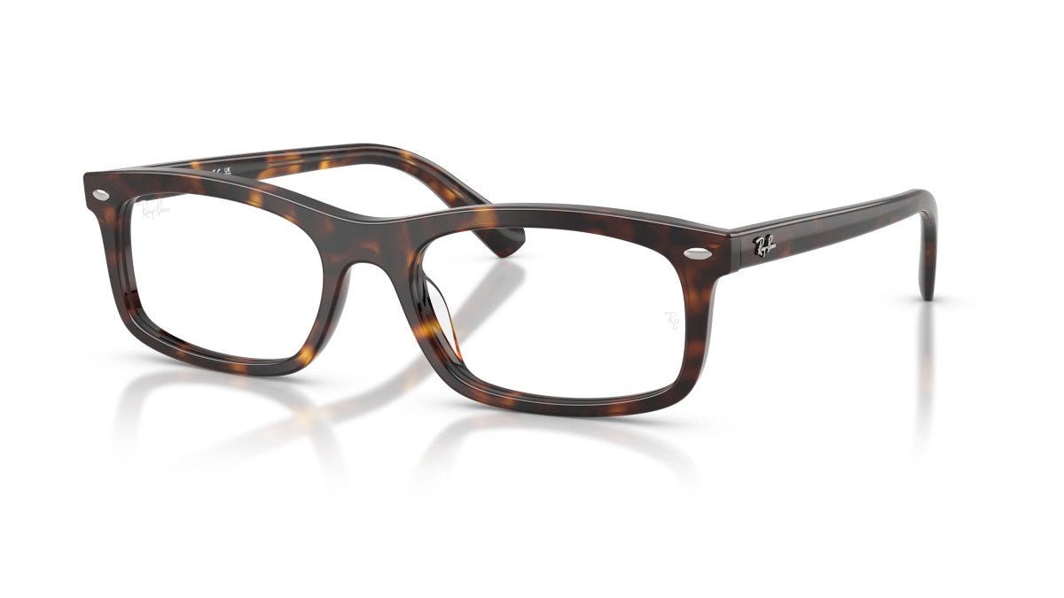 RAY-BAN RX5450 -RAY-BAN Eyeglasses- Optivision
