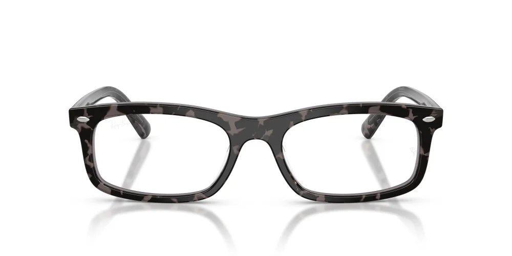 RAY-BAN RX5450 -RAY-BAN Eyeglasses- Optivision