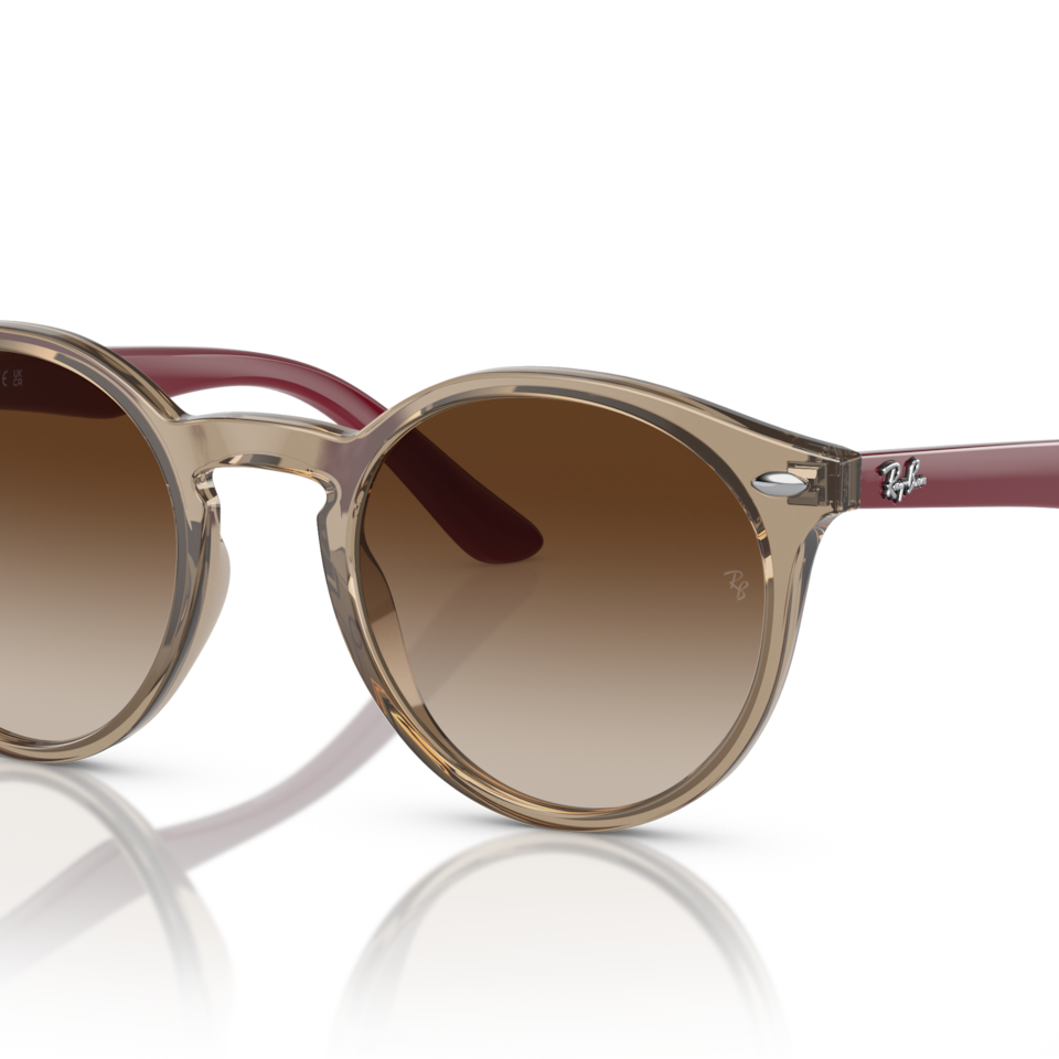 Ray-Ban RJ9064S Pantos Sunglasses