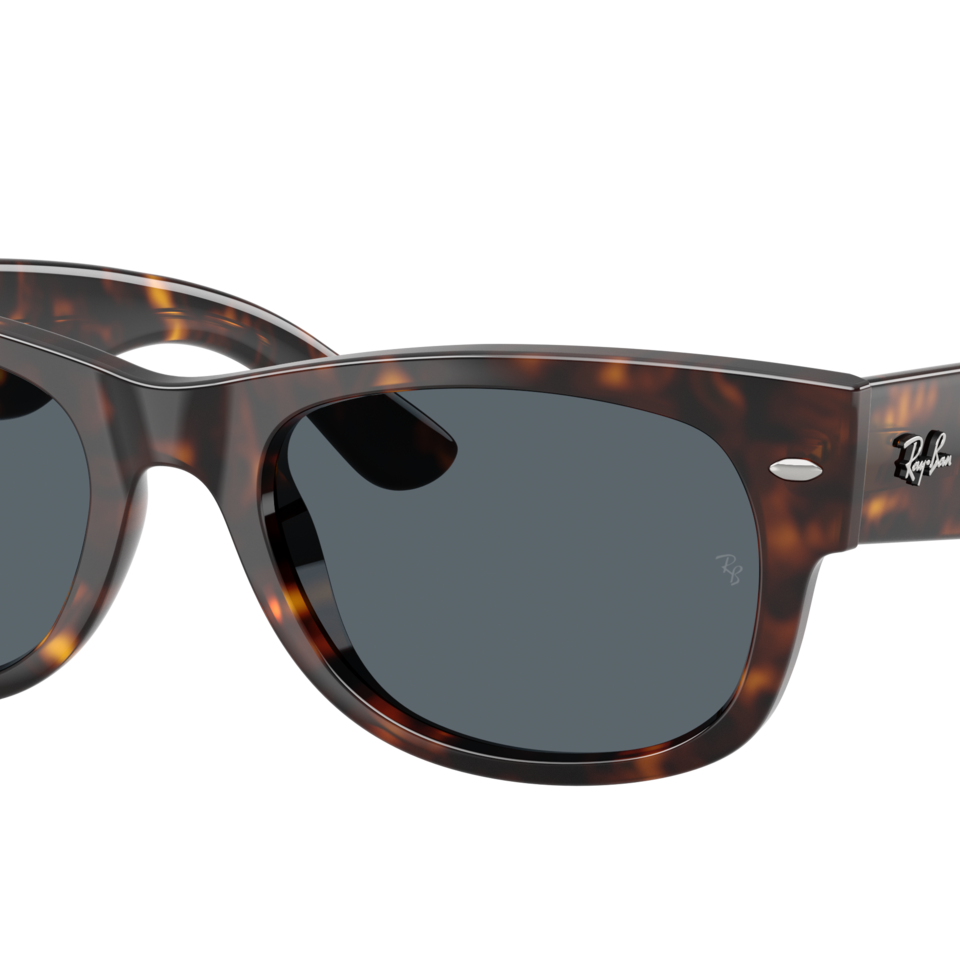 RAYBAN RB0832S