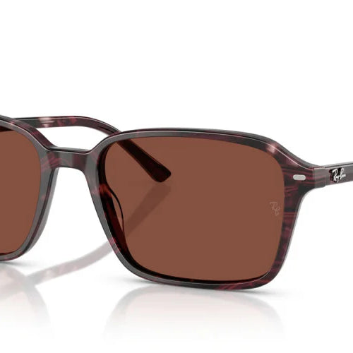 Ray-Ban RB2231 Raimond Square Sunglasses
