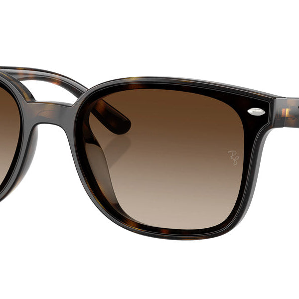 RAY-BAN RB4461D