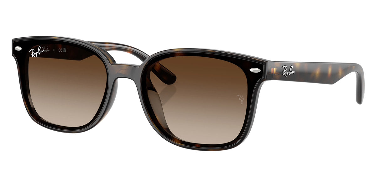 RAY-BAN RB4461D -RAY-BAN Sunglasses- Optivision