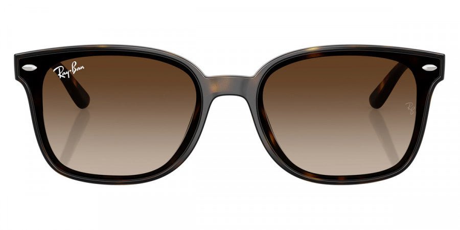 RAY-BAN RB4461D -RAY-BAN Sunglasses- Optivision