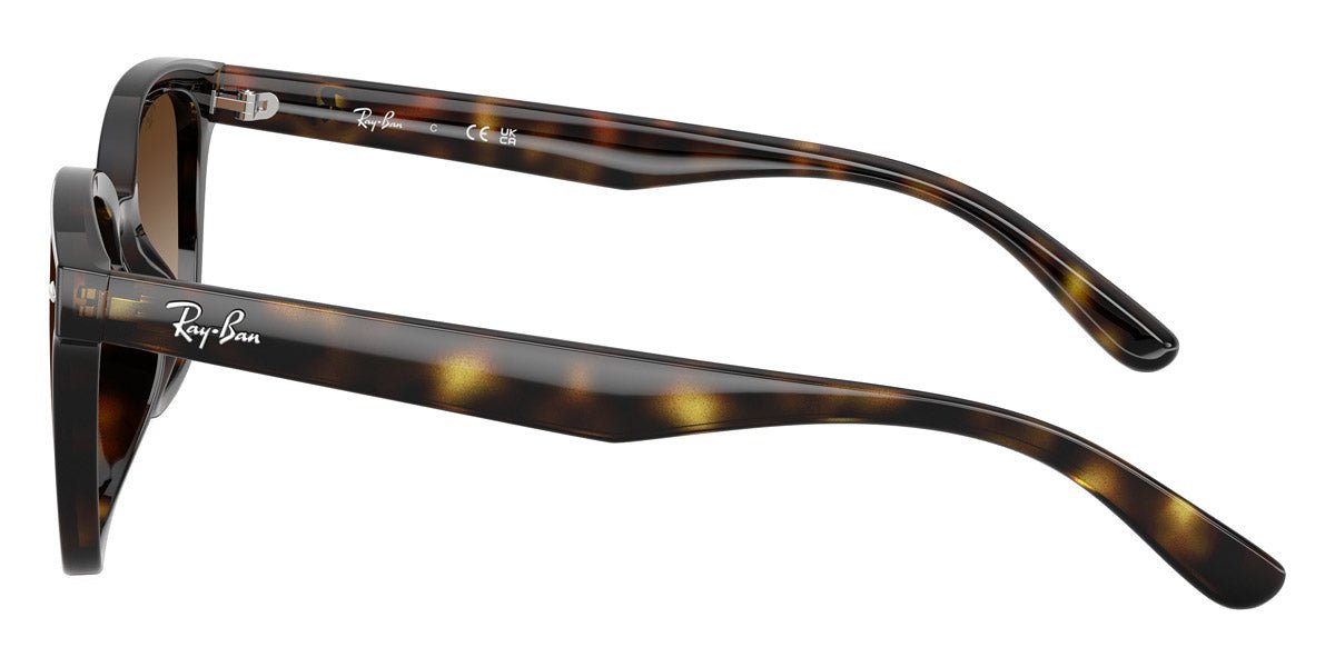 RAY-BAN RB4461D -RAY-BAN Sunglasses- Optivision
