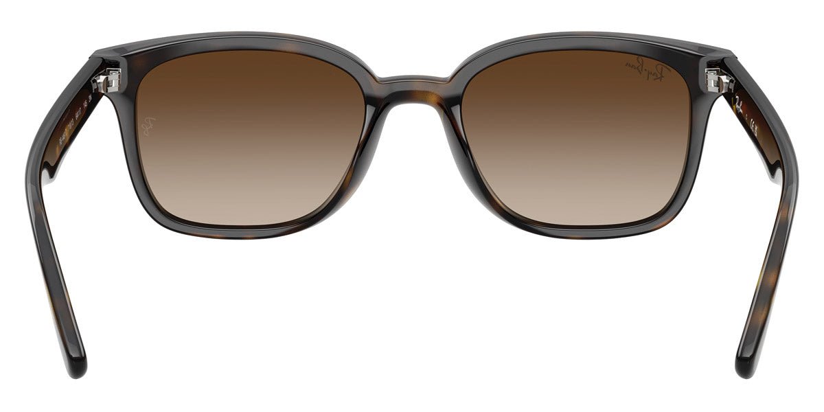 RAY-BAN RB4461D -RAY-BAN Sunglasses- Optivision