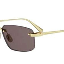 DIOR CDIOR S4U C'Dior -DIOR Sunglasses- Optivision
