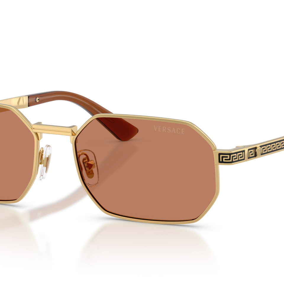 VERSACE VE2297
