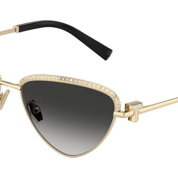 Tiffany & Co. TF3107KB Irregular Sunglasses -TIFFANY Sunglasses- OptiVision