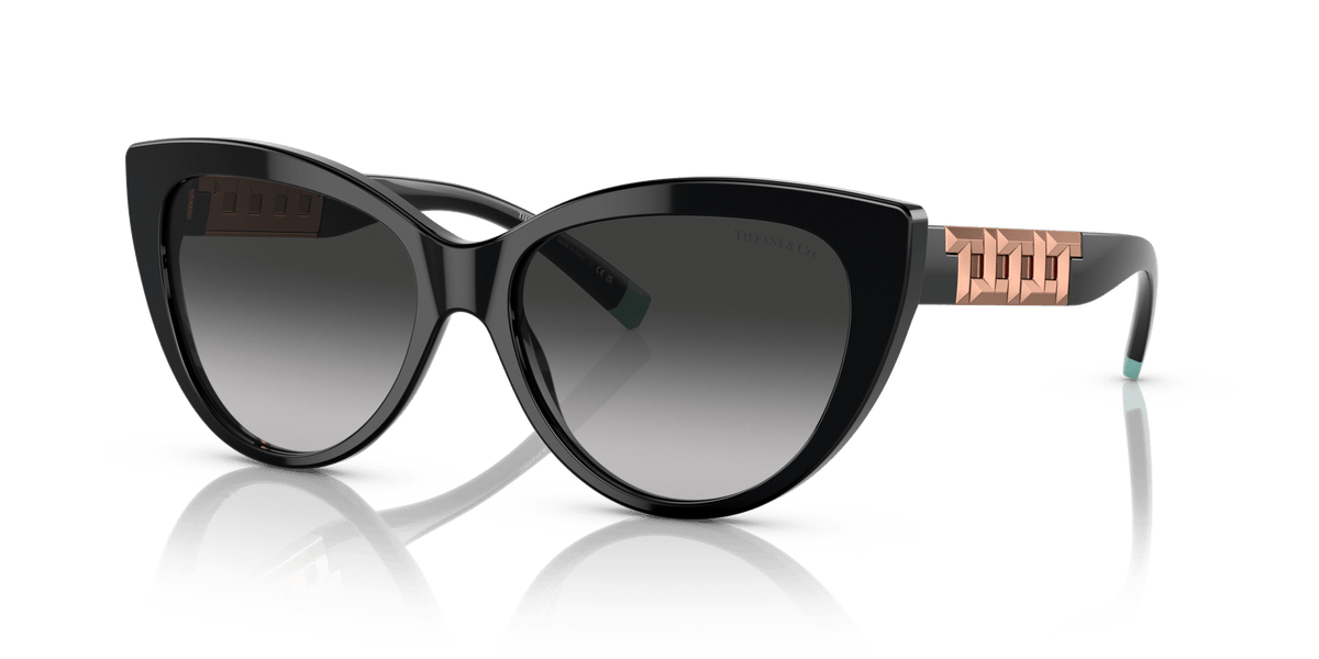 Tiffany & Co. TF4196 Cat Eye Sunglasses -TIFFANY Sunglasses- OptiVision