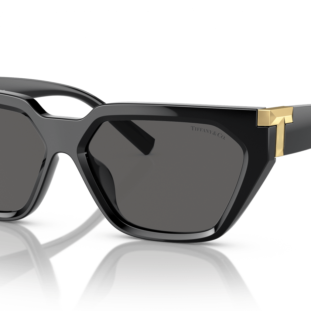 Tiffany & Co. TF4205U Irregular Sunglasses -TIFFANY Sunglasses- OptiVision