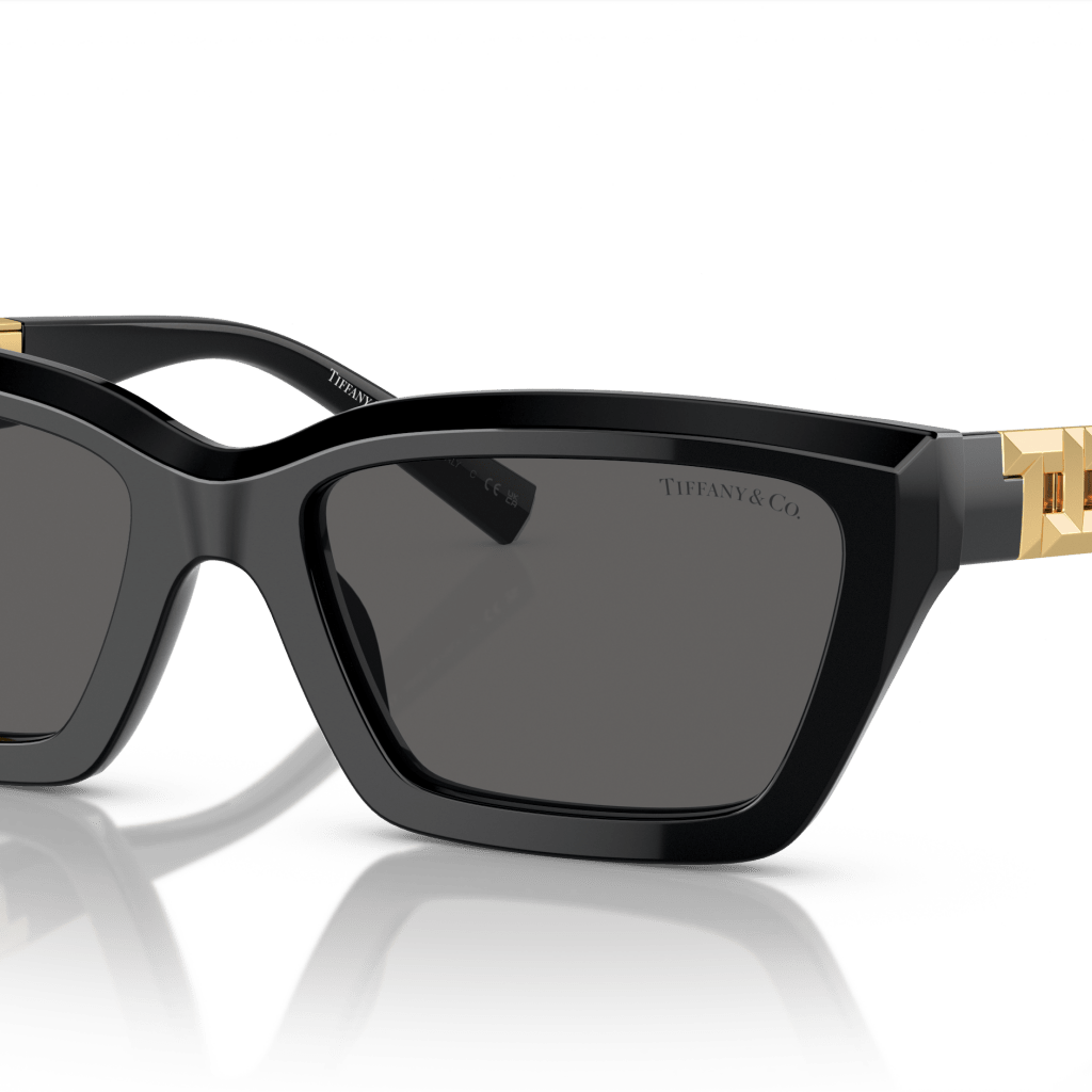 Tiffany & Co. TF4213 Rectangle Sunglasses -TIFFANY Sunglasses- OptiVision