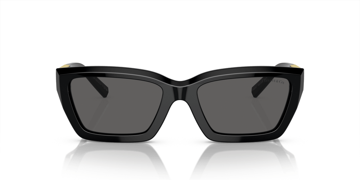 TIFFANY TF4213 -TIFFANY Sunglasses- Optivision