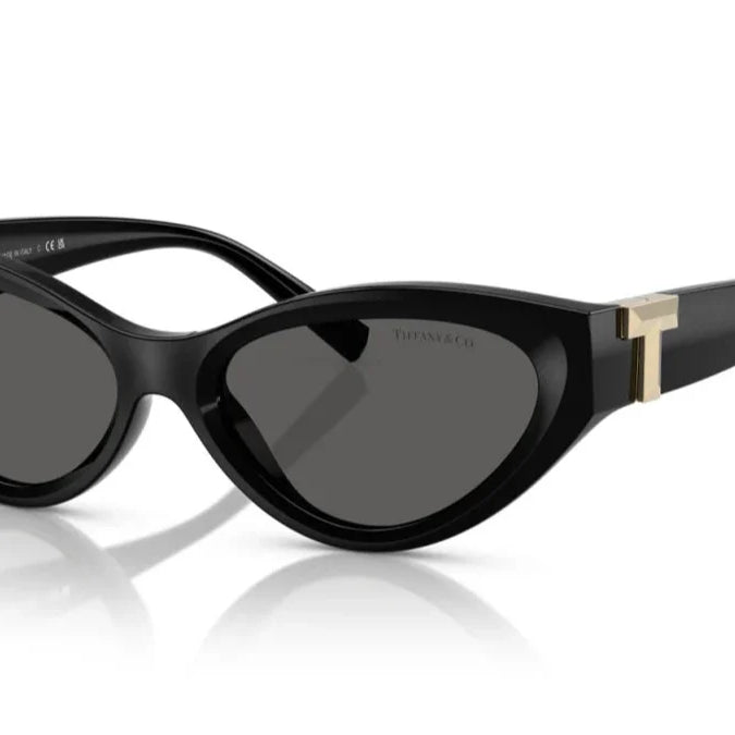Tiffany & Co. TF4225U Oval Sunglasses -TIFFANY Sunglasses- OptiVision